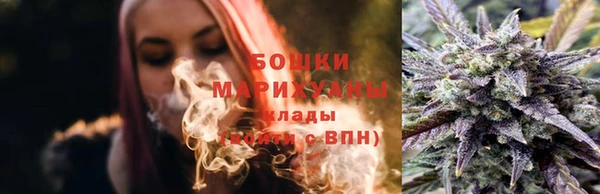гидра Горно-Алтайск