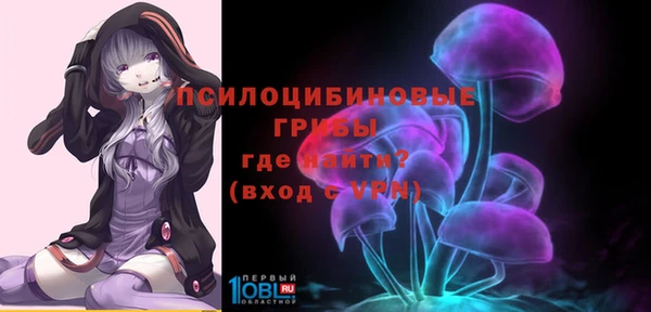 соль курить ск Горняк
