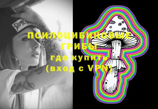 тгк Горнозаводск