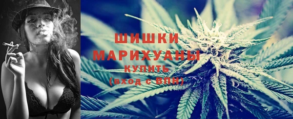 гидра Горно-Алтайск