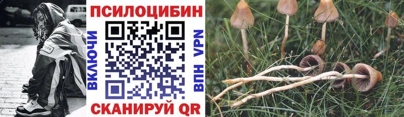 Галлюциногенные грибы MAGIC MUSHROOMS  Орехово-Зуево 